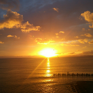 free性厨房D奶BBMD
